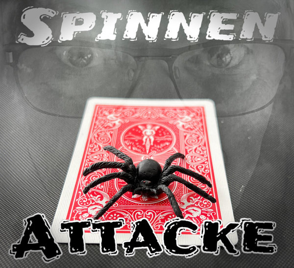 Spinnen Attacke